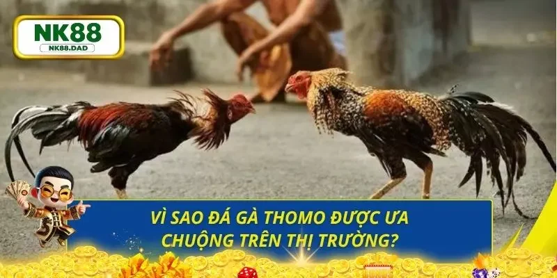 Ưu điểm làm nên thương hiệu của sân chơi uy tín đá gà